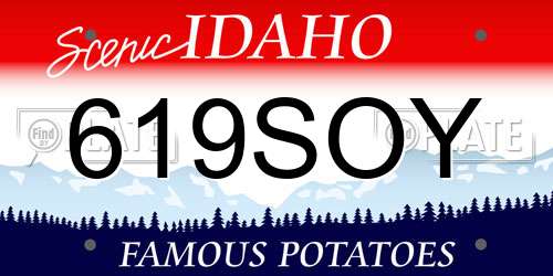 619SOY Idaho License Plate