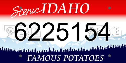 6225154 Idaho License Plate