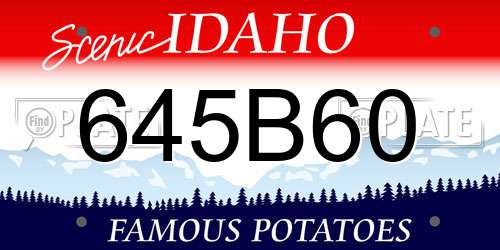 645B60 Idaho License Plate