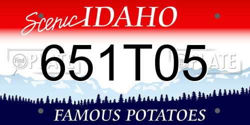 651T05 Idaho License Plate