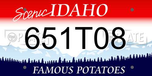 651T08 Idaho License Plate
