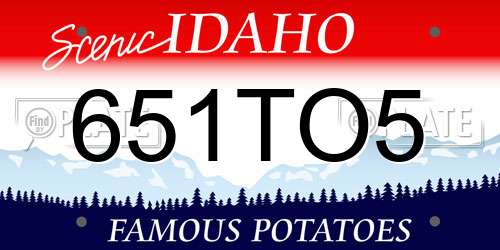651TO5 Idaho License Plate