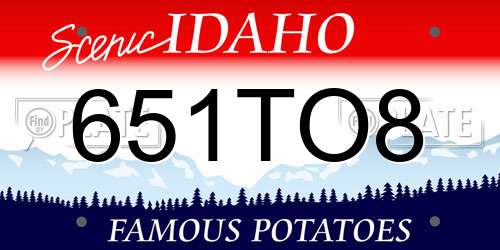 651TO8 Idaho License Plate