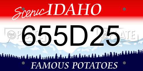 655D25 Idaho License Plate