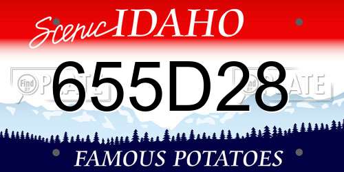 655D28 Idaho License Plate