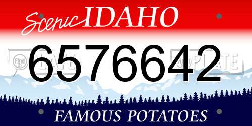 6576642 Idaho License Plate