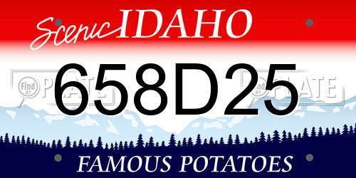 658D25 Idaho License Plate