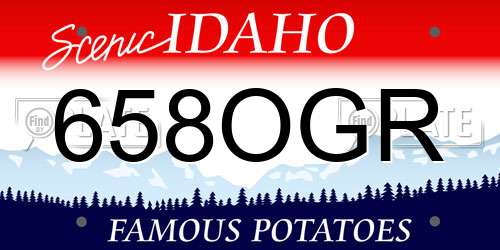 658OGR Idaho License Plate