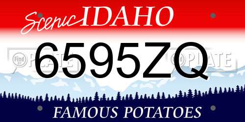 6595ZQ Idaho License Plate