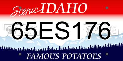 65ES176 Idaho License Plate