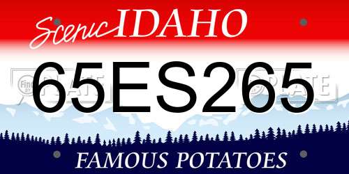65ES265 Idaho License Plate