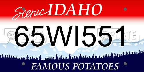 65WI551 Idaho License Plate