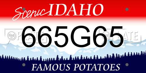 665G65 Idaho License Plate