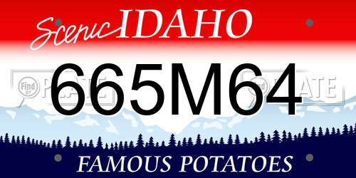 665M64 Idaho License Plate