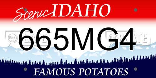 665MG4 Idaho License Plate