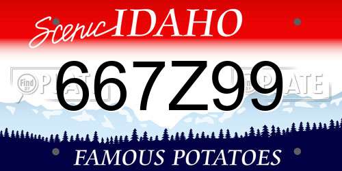 667Z99 Idaho License Plate
