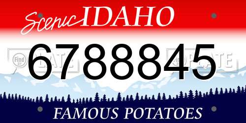 6788845 Idaho License Plate