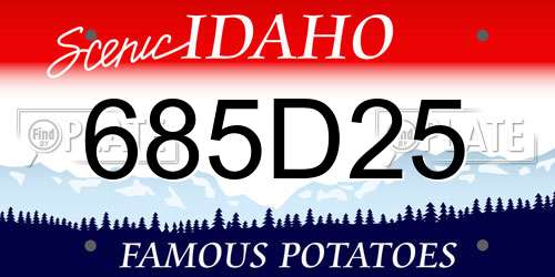 685D25 Idaho License Plate