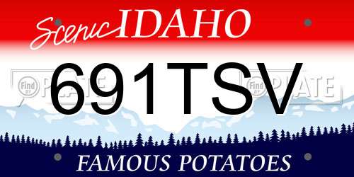 691TSV Idaho License Plate