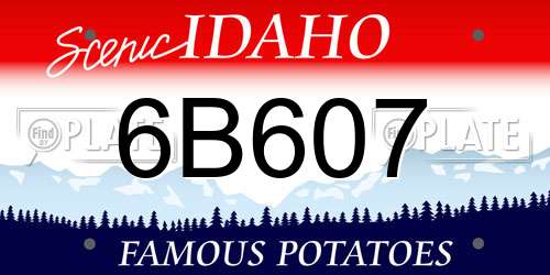 6B607 Idaho License Plate