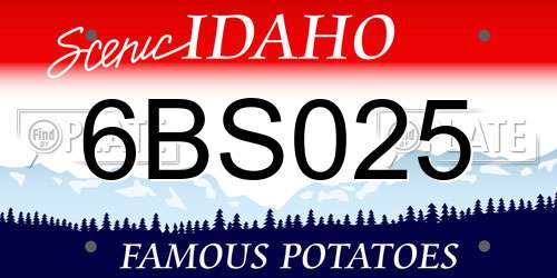 6BS025 Idaho License Plate
