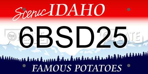 6BSD25 Idaho License Plate