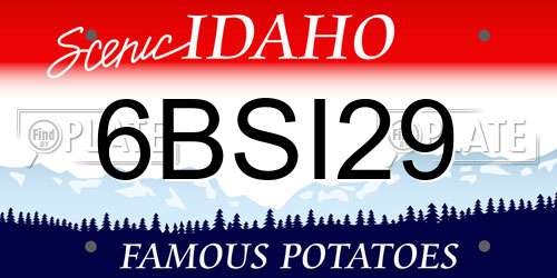 6BSI29 Idaho License Plate