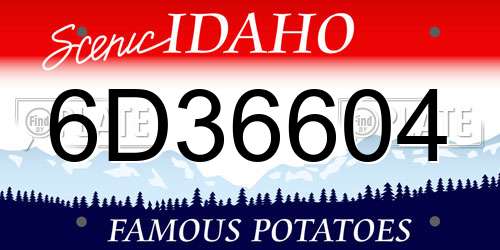 6D36604 Idaho License Plate