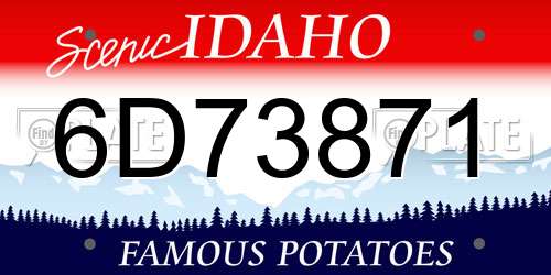 6D73871 Idaho License Plate