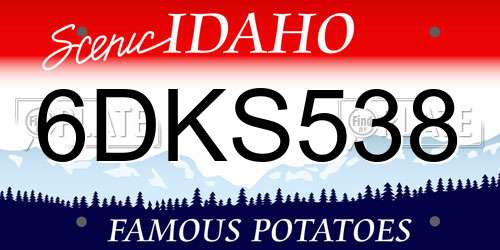 6DKS538 Idaho License Plate