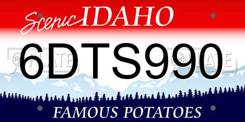 6DTS990 Idaho License Plate