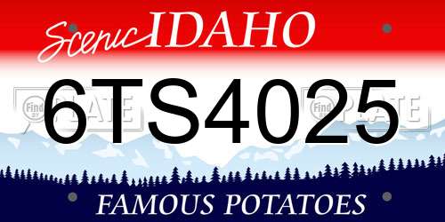 6TS4025 Idaho License Plate