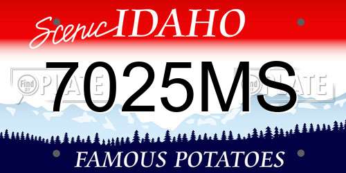 7025MS Idaho License Plate
