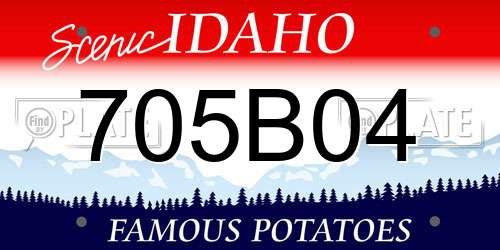 705B04 Idaho License Plate