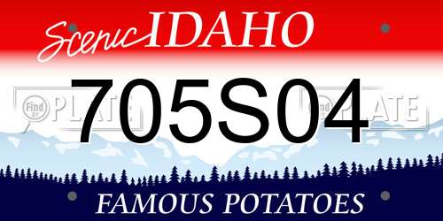 705S04 Idaho License Plate