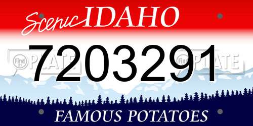 7203291 Idaho License Plate