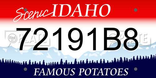 72191B8 Idaho License Plate