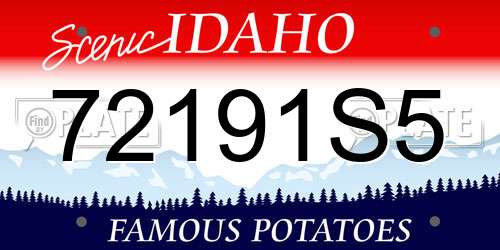 72191S5 Idaho License Plate