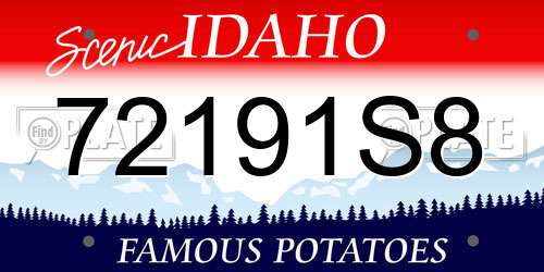 72191S8 Idaho License Plate