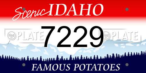 7229 Idaho License Plate