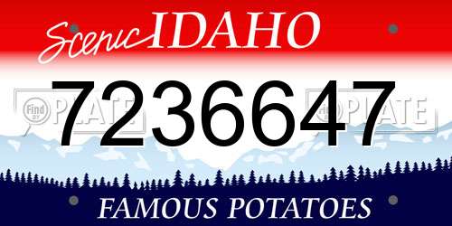 7236647 Idaho License Plate