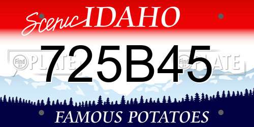 725B45 Idaho License Plate
