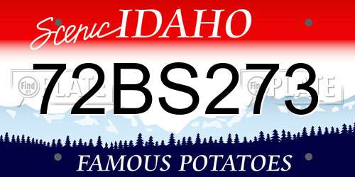 72BS273 Idaho License Plate