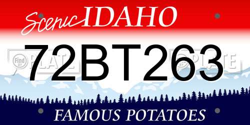 72BT263 Idaho License Plate