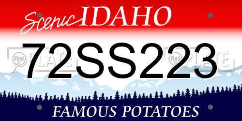 72SS223 Idaho License Plate