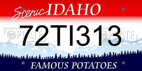 72TI313 Idaho License Plate
