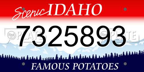 7325893 Idaho License Plate