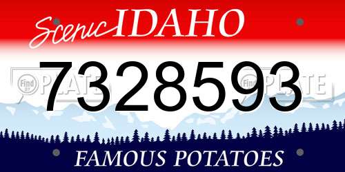 7328593 Idaho License Plate