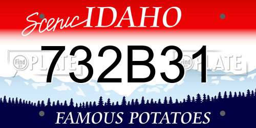 732B31 Idaho License Plate