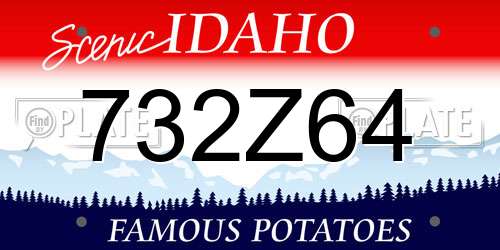 732Z64 Idaho License Plate